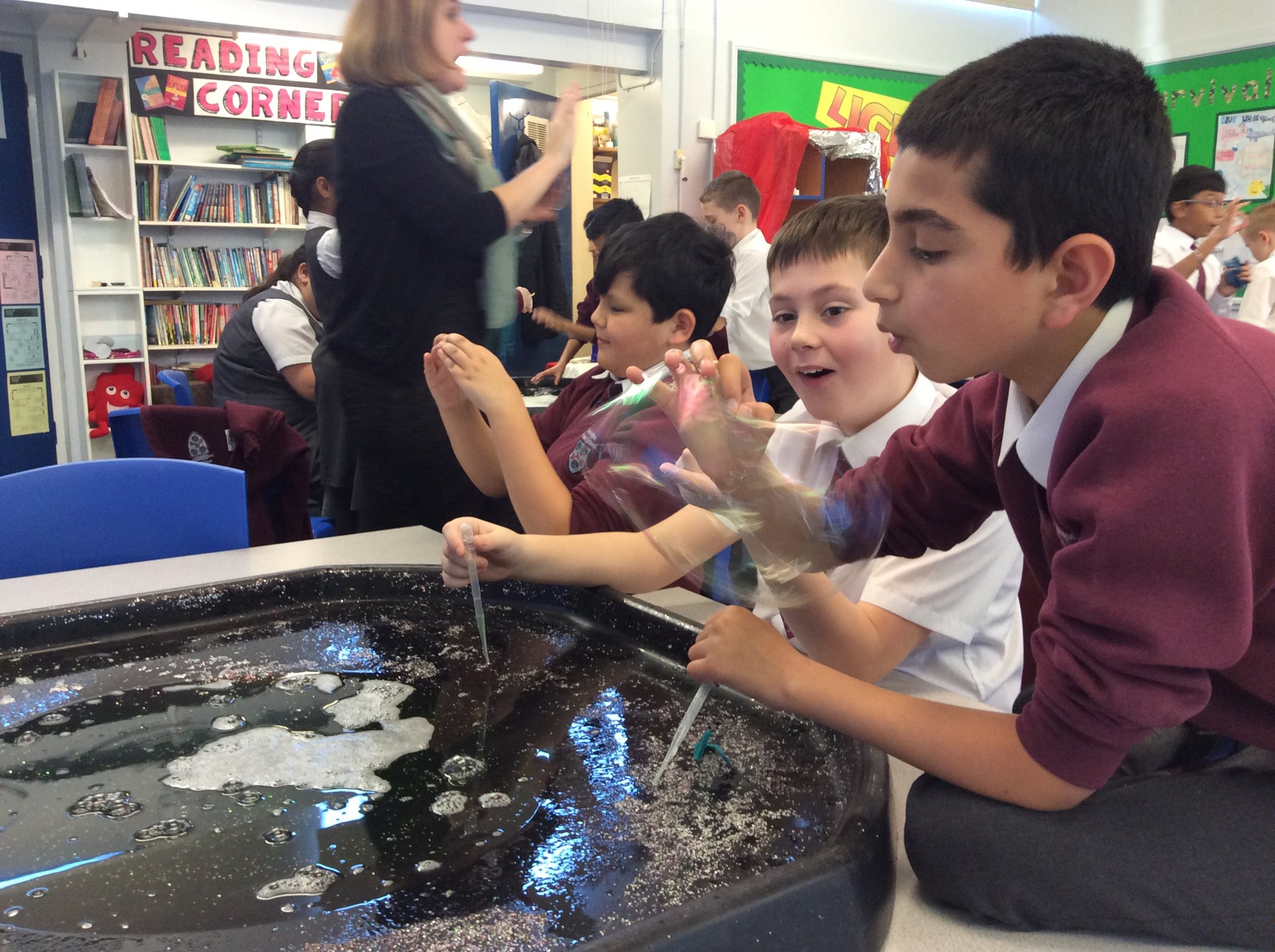 Image of Year 6 Investigates