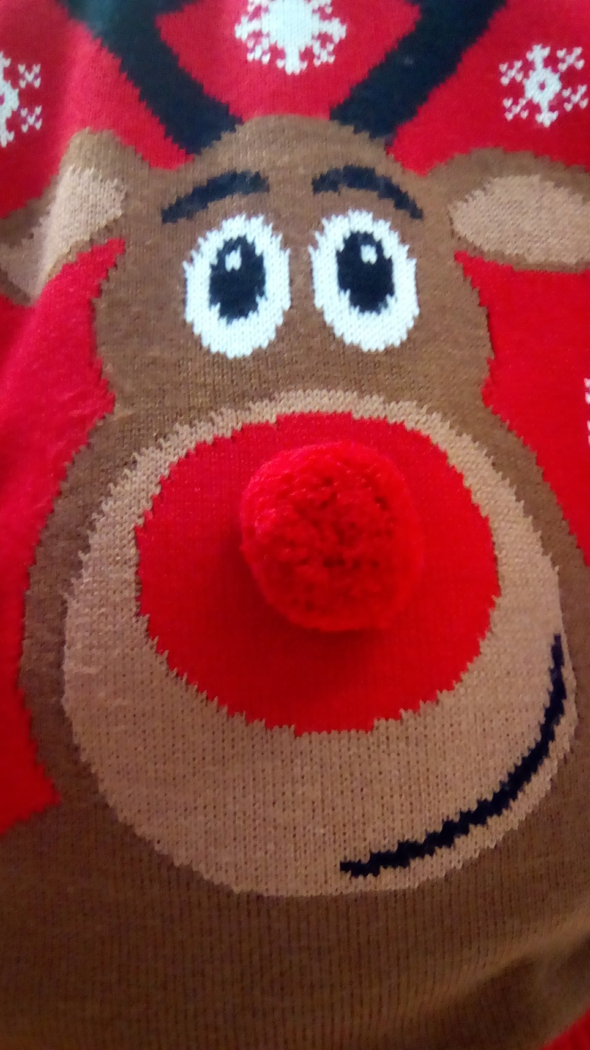 Image of Christmas Jumper Day 2016