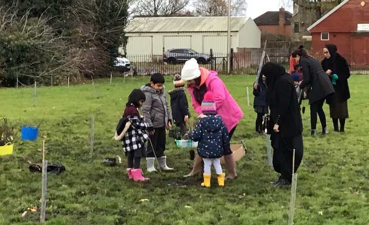 Image of Tree Planting 2019