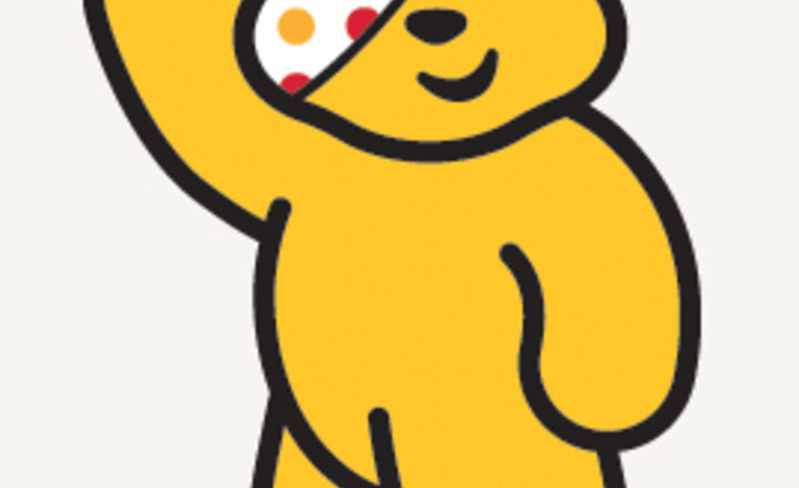 Image of Children in Need 2015