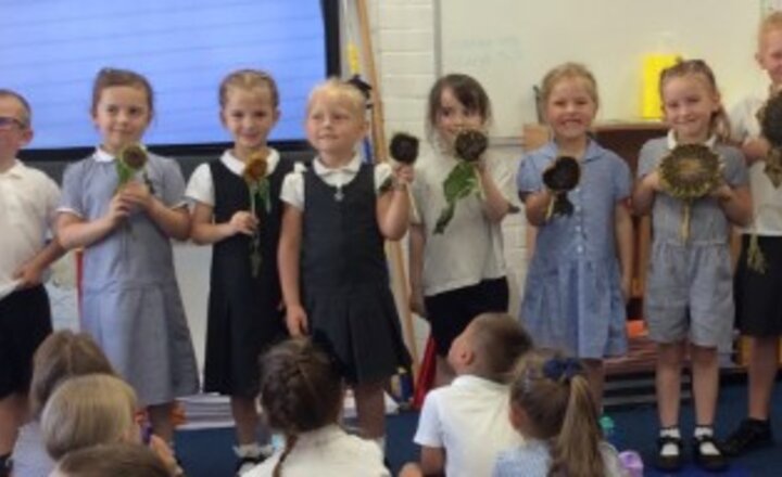 Image of Year 1 Sunflower Challenge