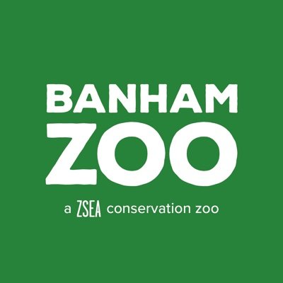 Image of Year 5 Banham Zoo Trip