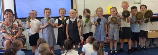 Image of Year 1 Sunflower Challenge