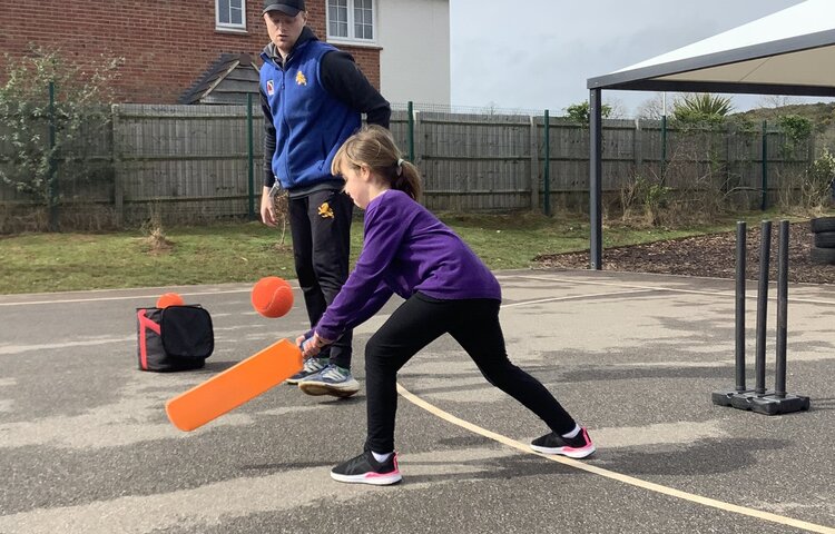 Image of Cricket Workshop!