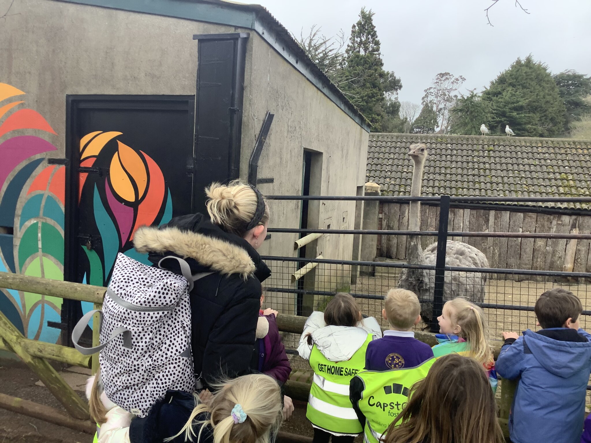 Image of Paignton Zoo - African Safari!