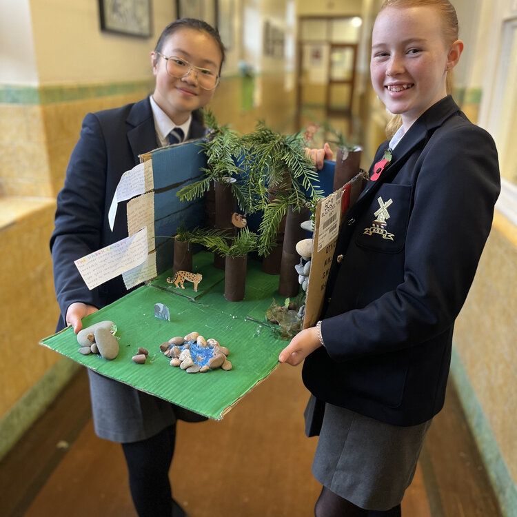 Image of Second Year Geographers completed outstanding 'Biome in a Box' projects