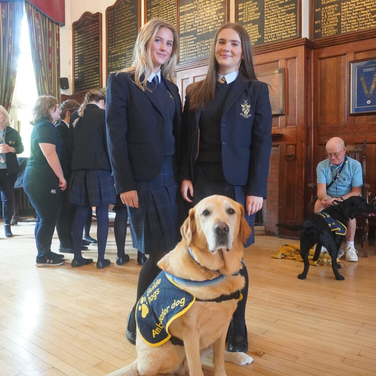 Image of Relax and Paws; Guide Dogs visit Kirkham Grammar School to help pupils beat exam stress