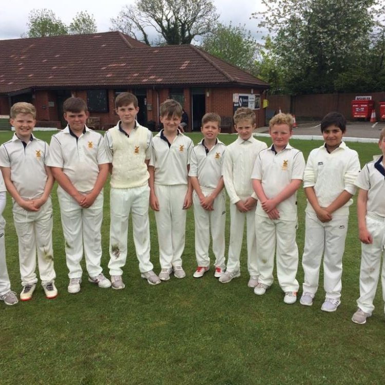 Image of U11 Boys Cricket