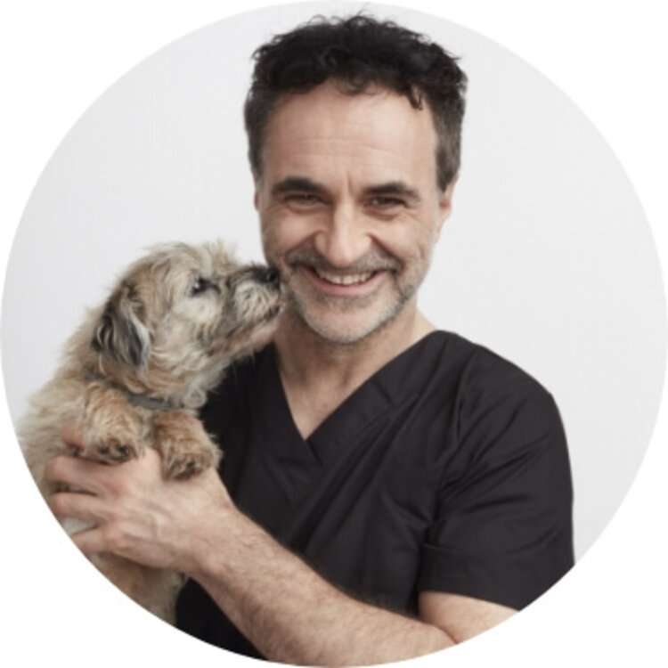 Image of Supervet, author & Channel 4 presenter, Professor Noel Fitzpatrick, to visit KGS