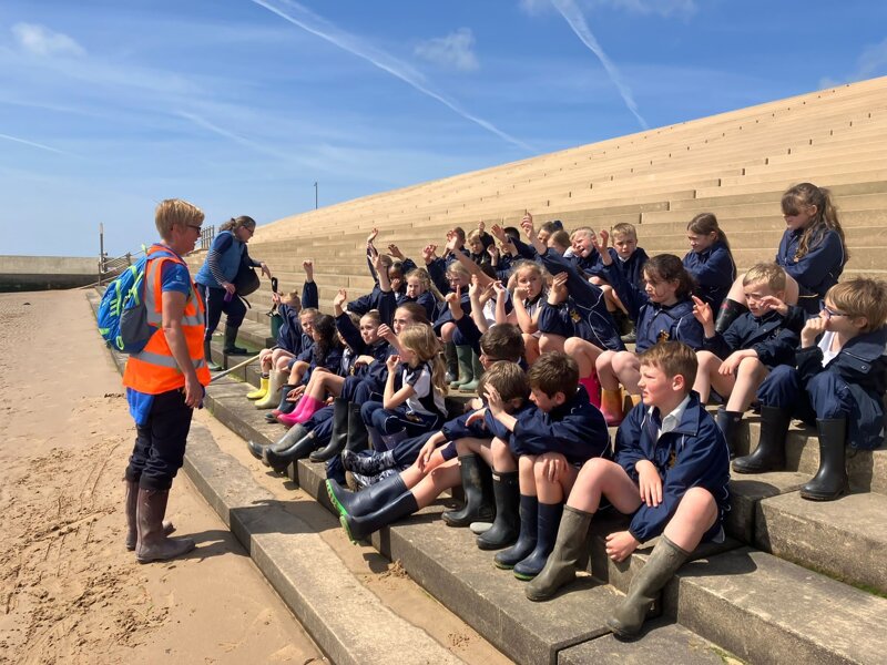 Image of J2 'Living Things' Visit to Fairhaven Lake