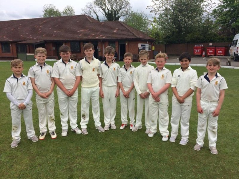 Image of U11 Boys Cricket