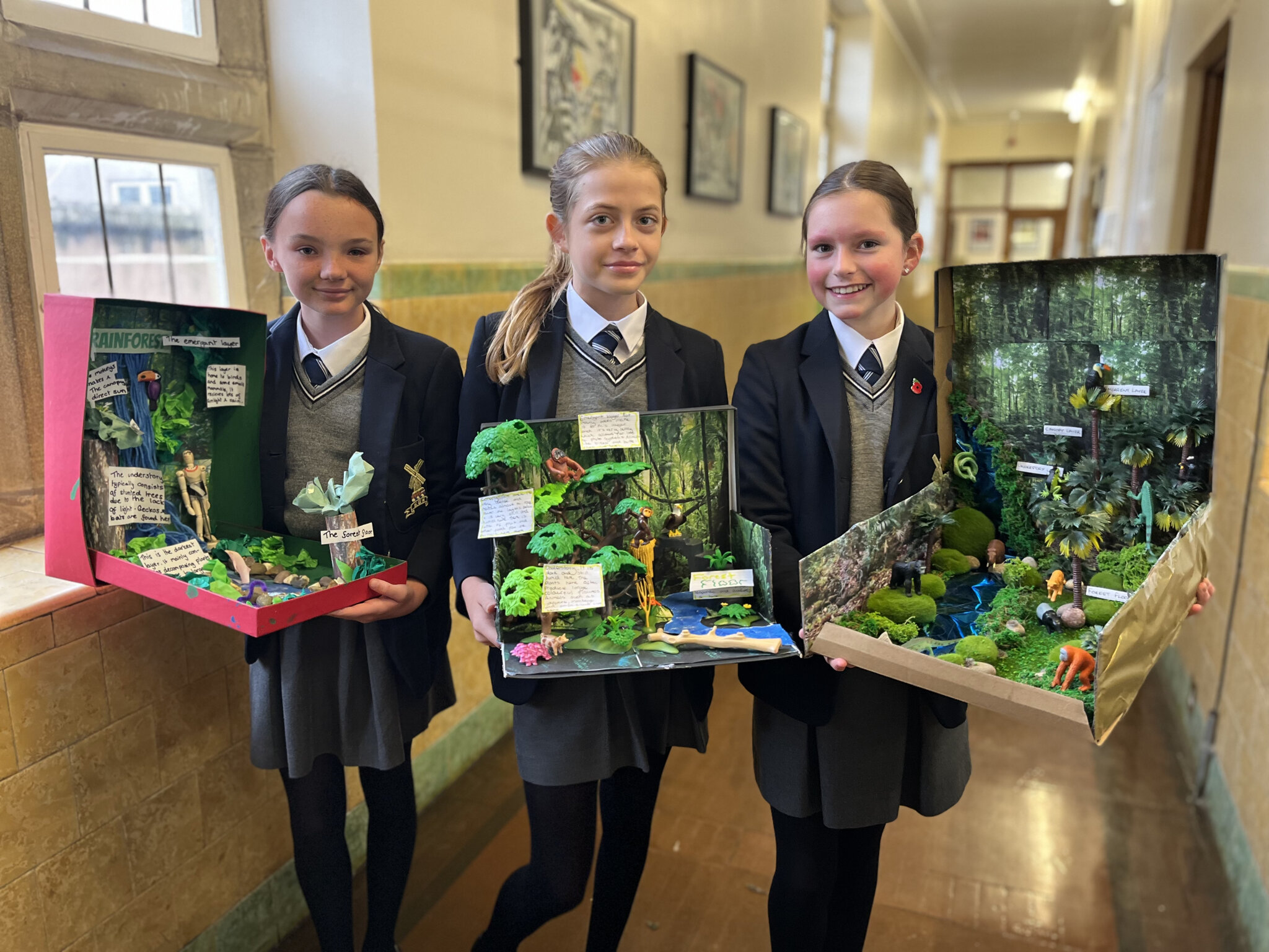 Image of KGS Geographers complete outstanding 'Biome in a Box' projects