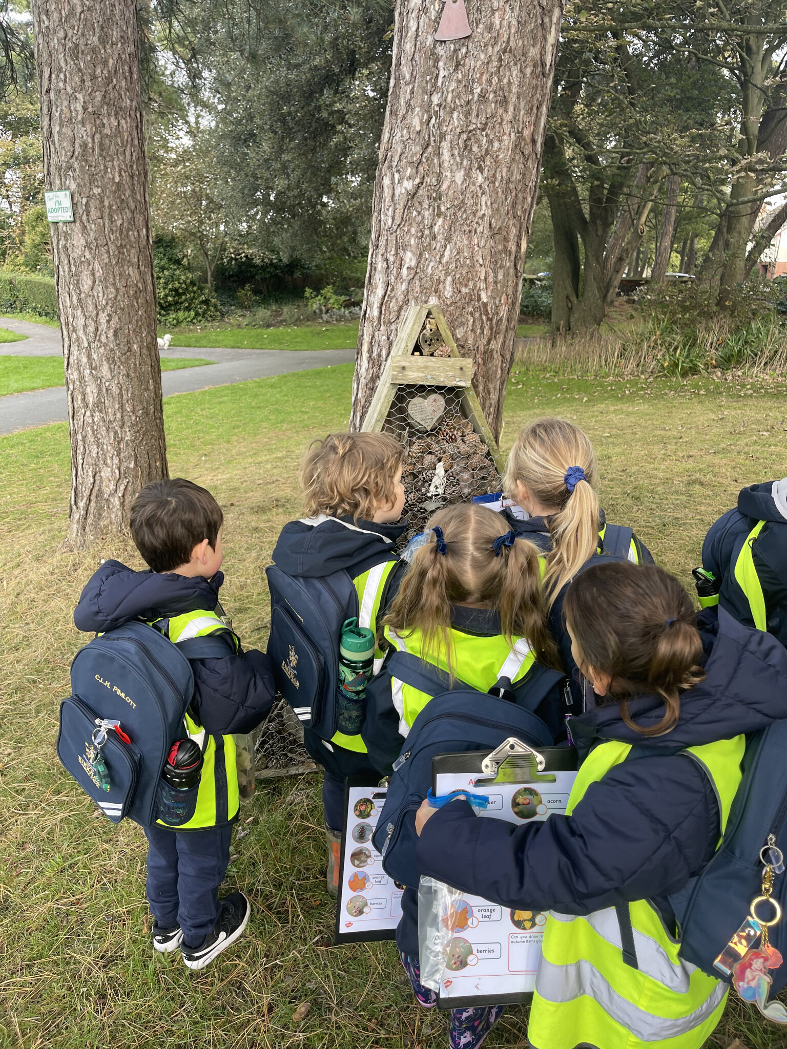 Image of I1 pupils enjoy trip to Lowther Gardens