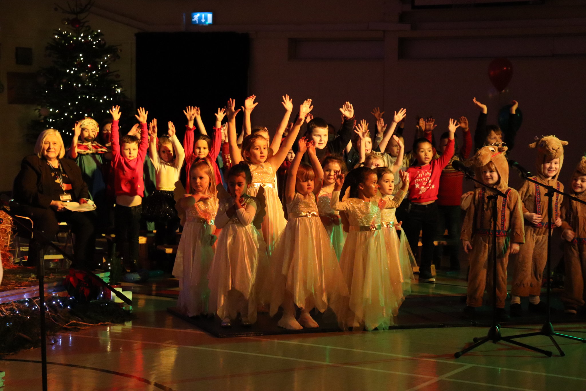 Image of Infant & Pre-School Nativity - 'Everybody Loves a Baby' 