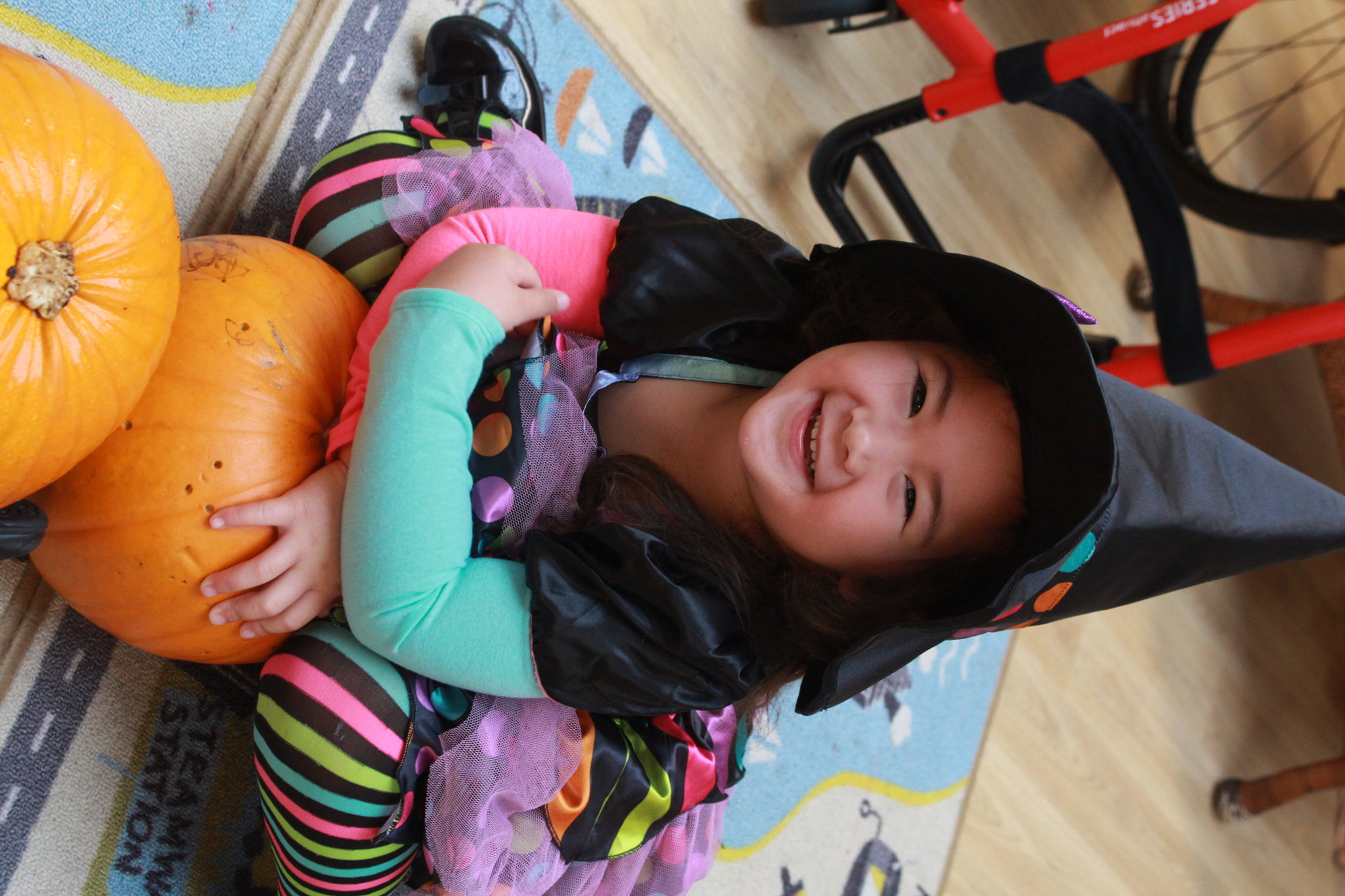 Image of Pre-School Pumpkin Week