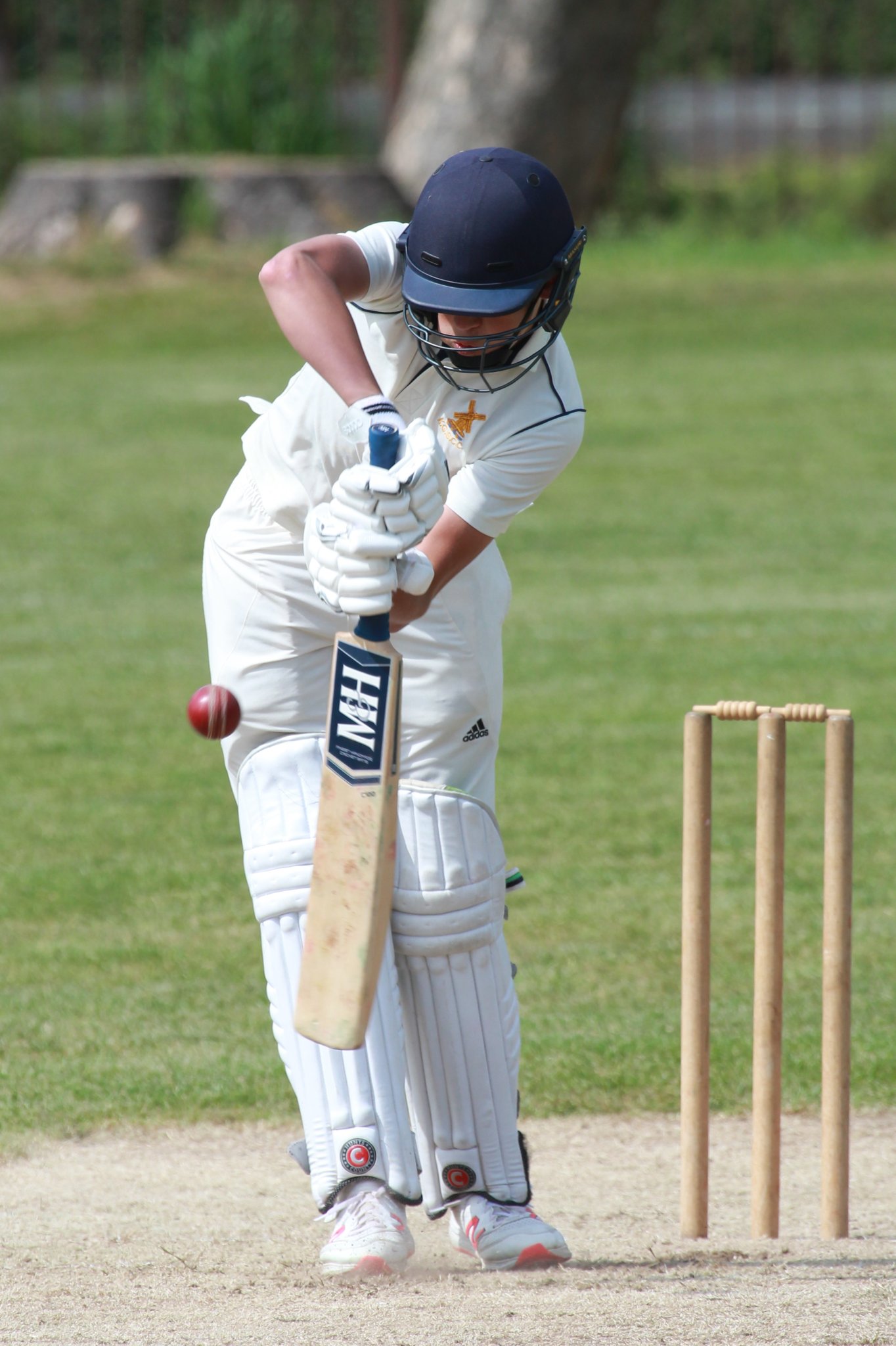 Image of Remarkable U14 Cricket Victory