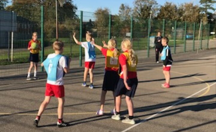 Image of Netball