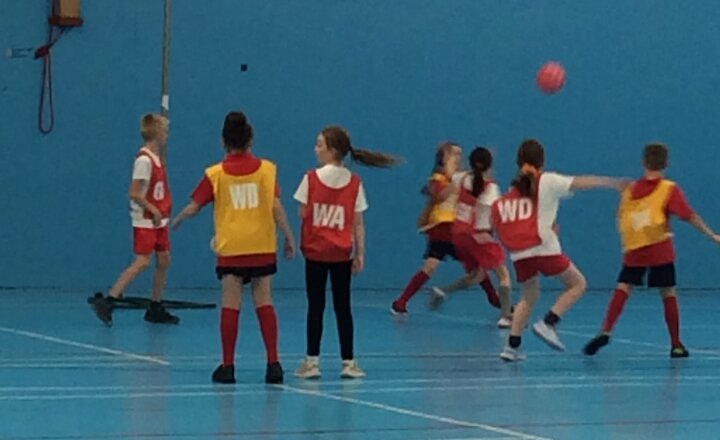 Image of Netball Tournament