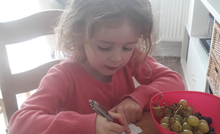 Image of Working from Home 24th March 2020 