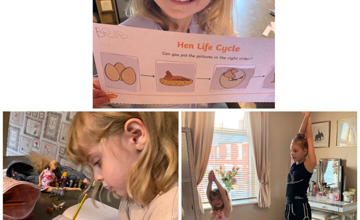 Image of Working from Home 5th May 2020