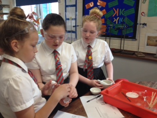 Image of Year 6 attend Carr Hill for Science lesson 