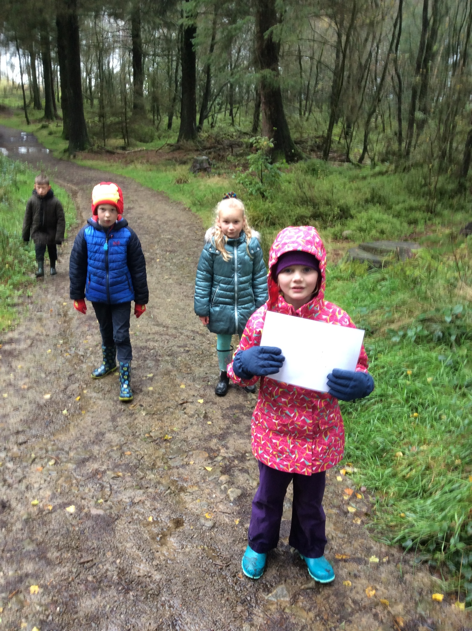 Image of Year 3 Geography Trip - Beacon Fell