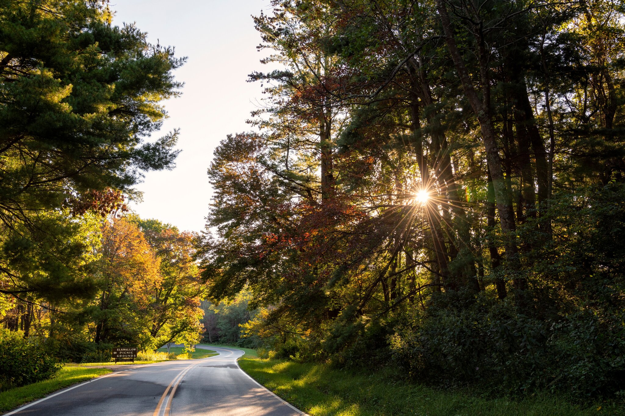 Image of If you could bottle something...