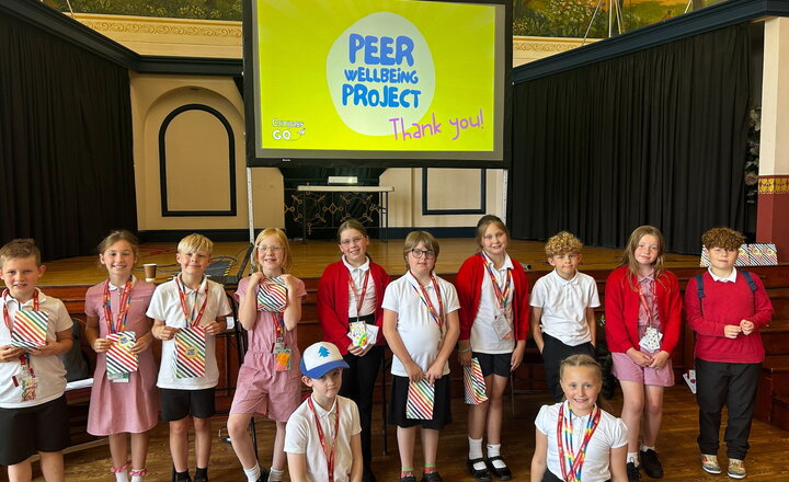 Image of A Celebration for our Peer Wellbeing Ambassadors