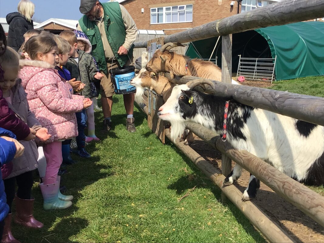 Image of School Trip to Nunny's Farm