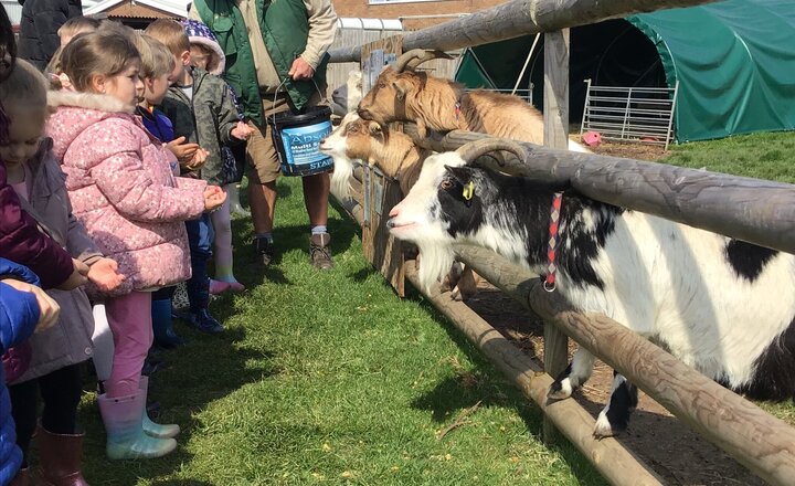 Image of School Trip to Nunny's Farm