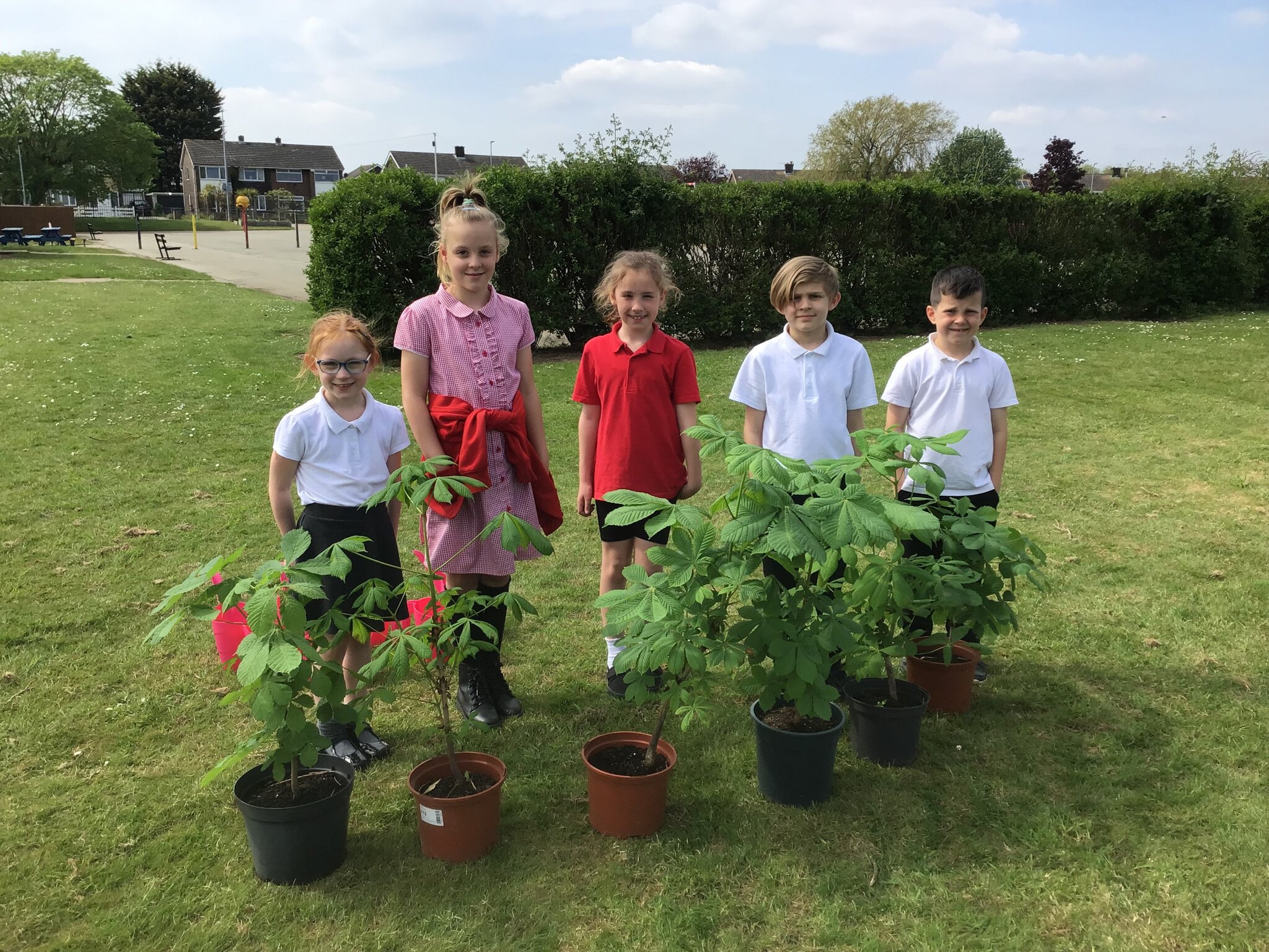 Image of Eco-Committee Tree Planting 2024