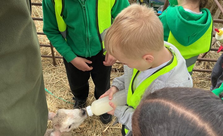 Image of Reception and Year 6 down on the farm! 