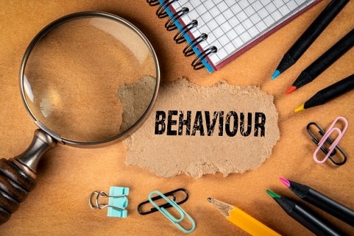 Image of Pastoral Leads (Behaviour Consultant) Workshop