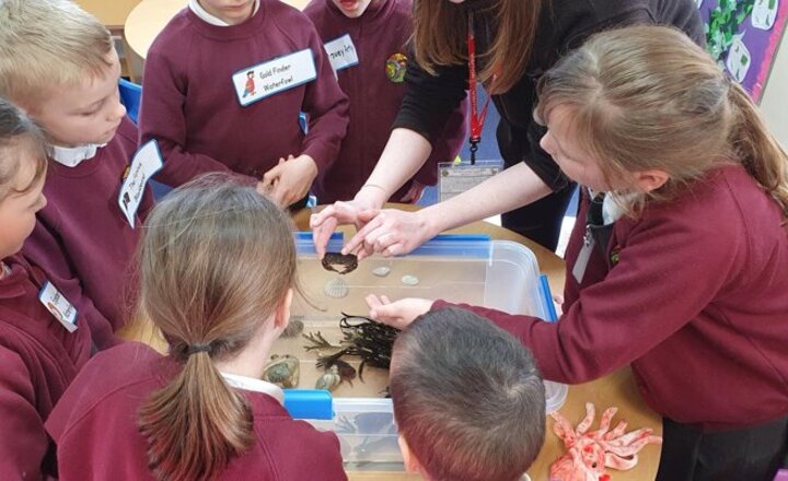 Image of Fairfield Nurture Group: Wildlife Trust Visit