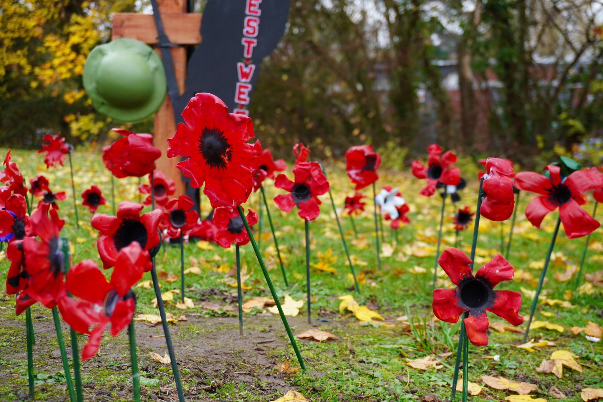 Image of Remembrance Day 2025