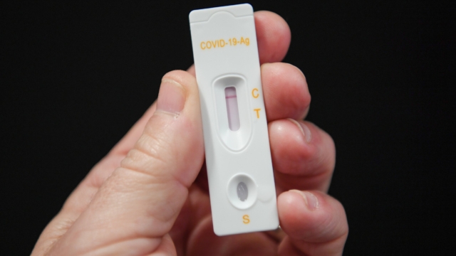 Image of Lateral Flow Testing at Home