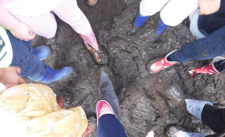 Image of Mud, Glorious Mud!