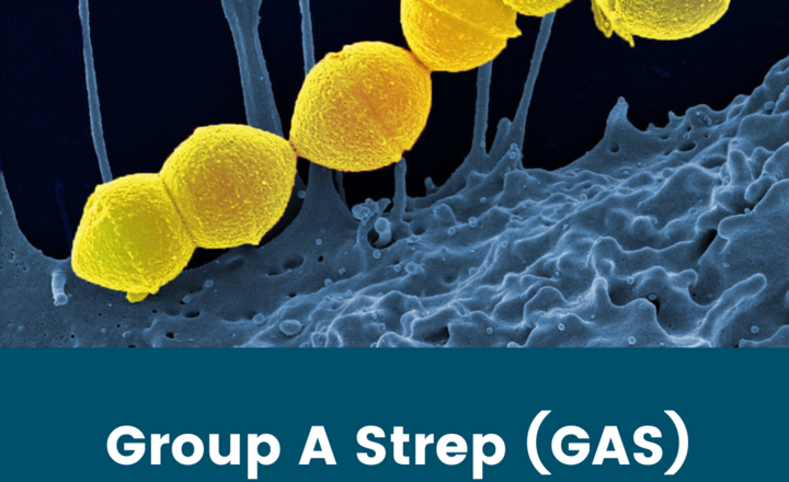 Image of Strep A information