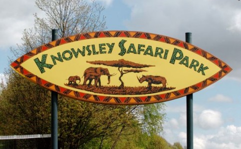 knowsley safari park weather forecast