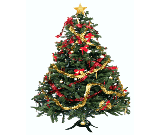 Image of Carols Round the Tree