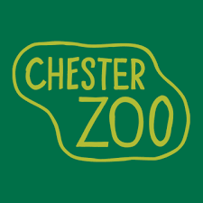 Image of Foundation Stage Trip to Chester Zoo