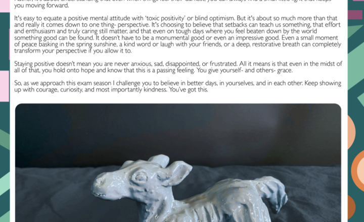 Image of The Waffle Issue 5