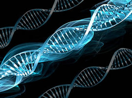 Image of Biology