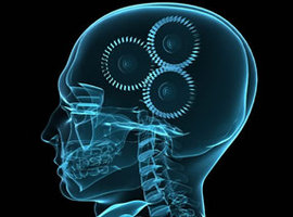 Image of Psychology