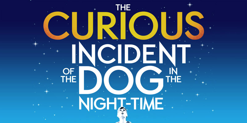 Image of Year 8 Theatre Trip - The Curious Incident of the Dog in the Night-Time.