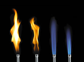 Image of BTEC Applied Science
