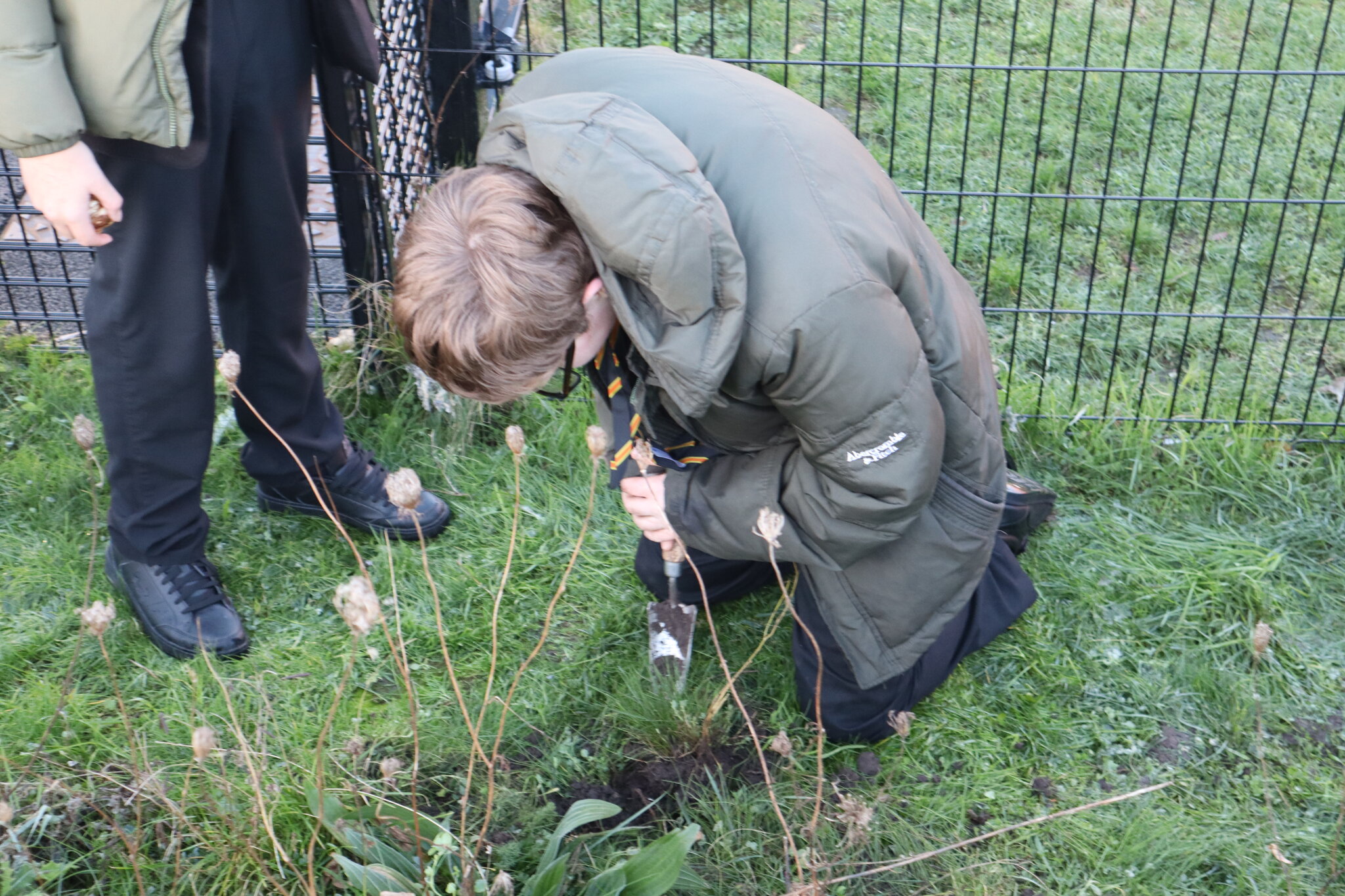 Image of Athena House Spread a Little Spring Sunshine with Lytham in Bloom