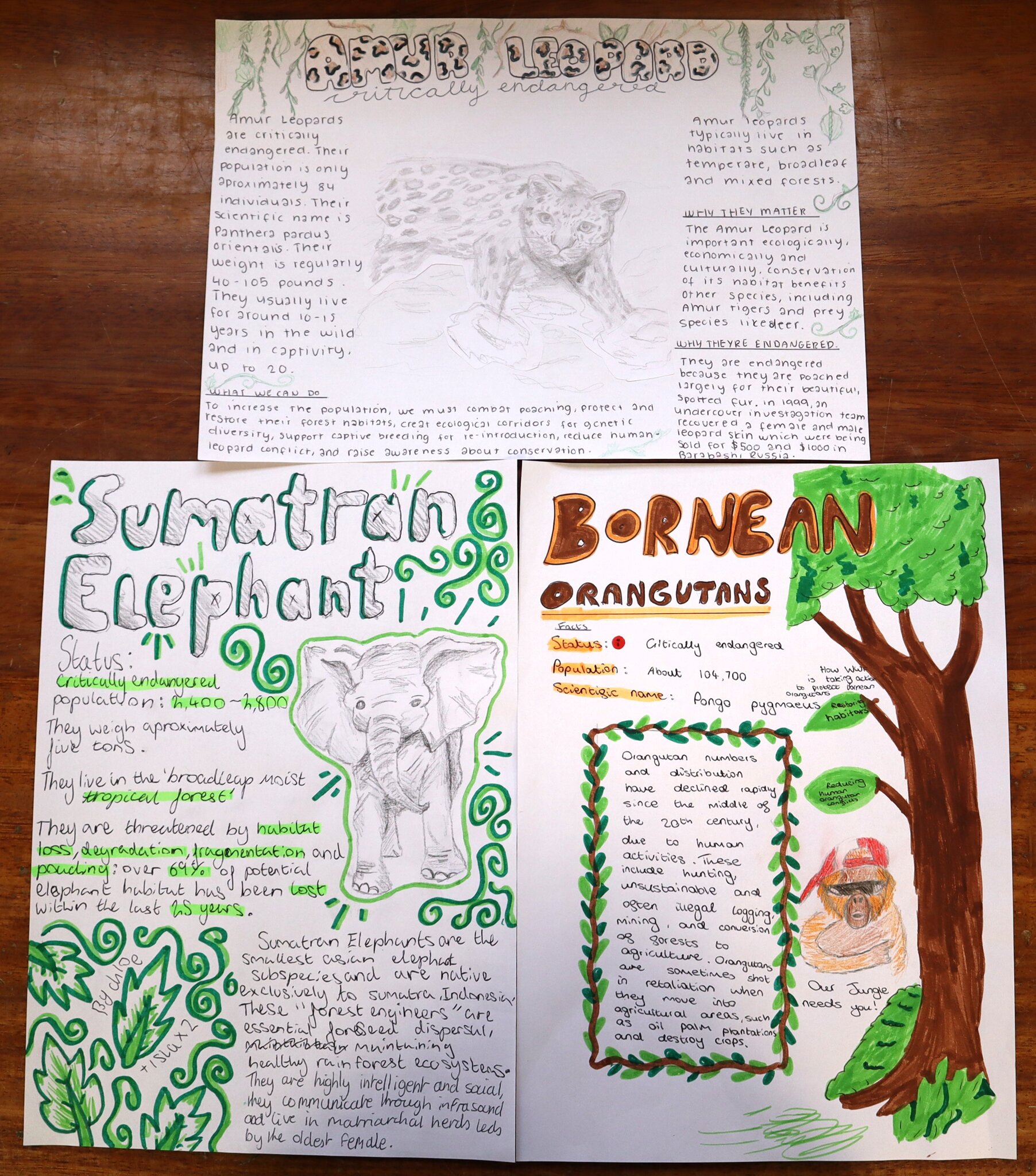 Image of Science Students Showcase Outstanding Work on Endangered Species