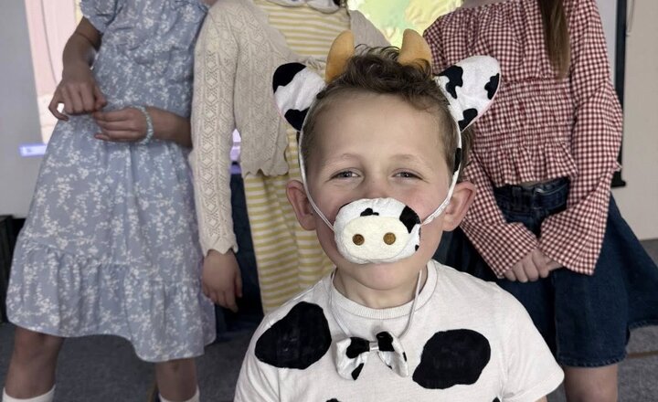 Image of Lights, Camera, Action!