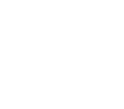 Maharishi School